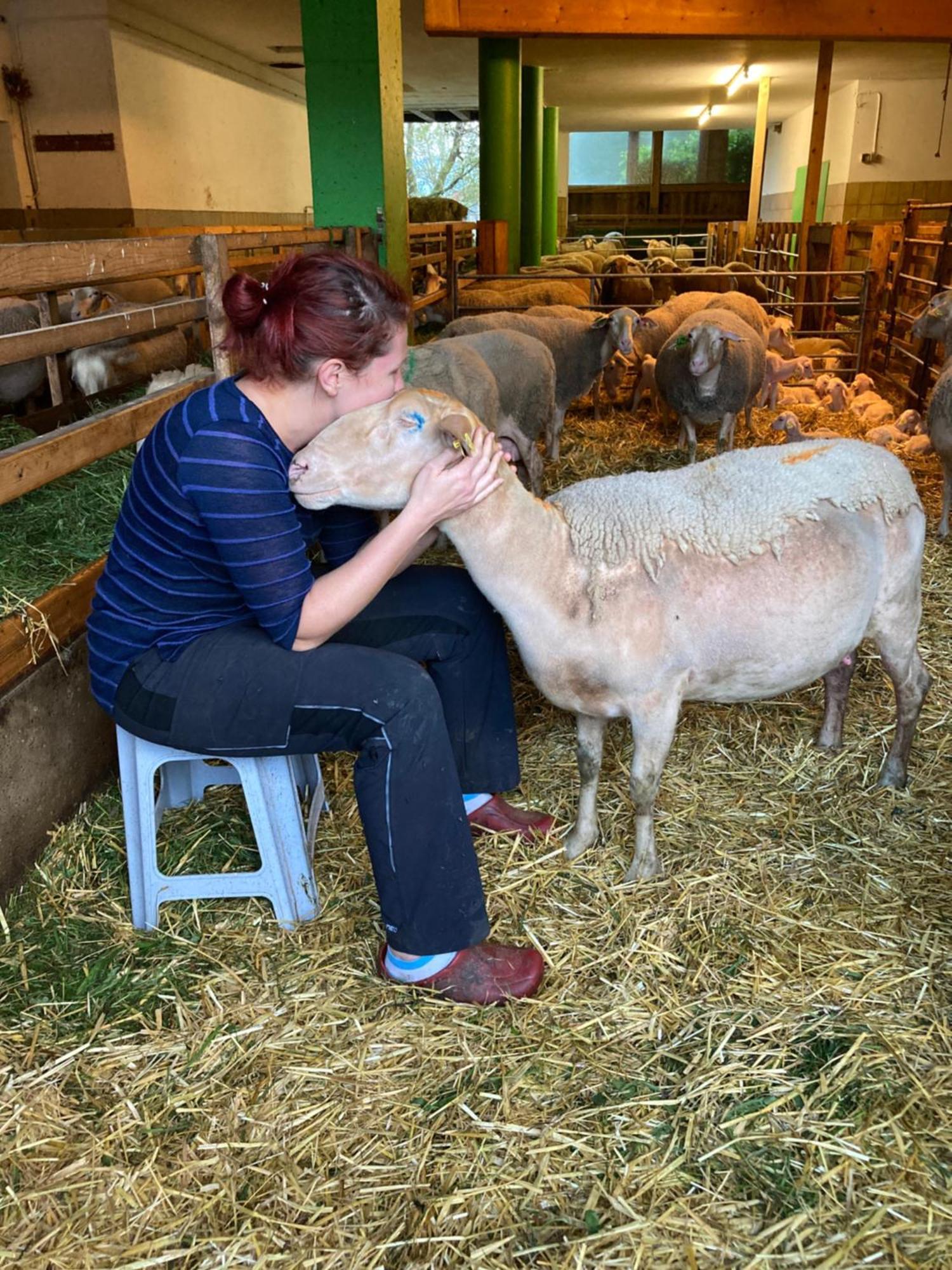 Nussbaumer Am Irrsee Tiefgraben Bagian luar foto