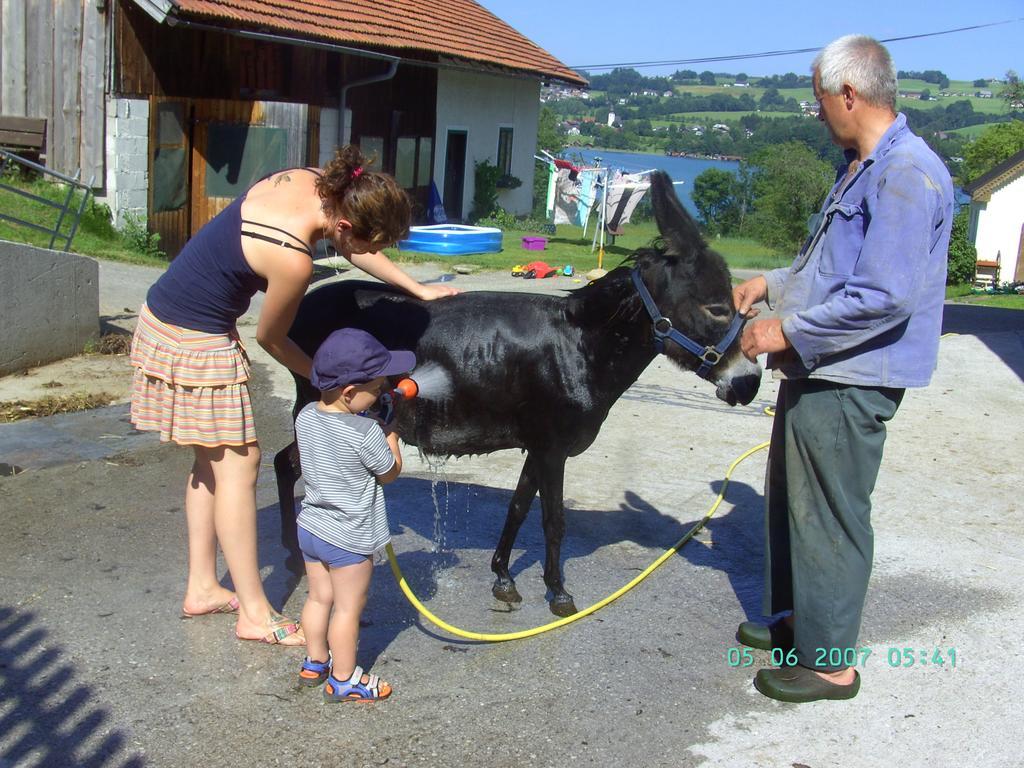 Nussbaumer Am Irrsee Tiefgraben Bagian luar foto