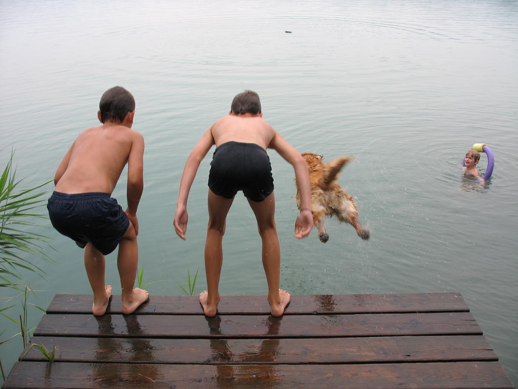 Nussbaumer Am Irrsee Tiefgraben Bagian luar foto