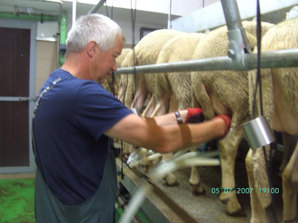 Nussbaumer Am Irrsee Tiefgraben Bagian luar foto